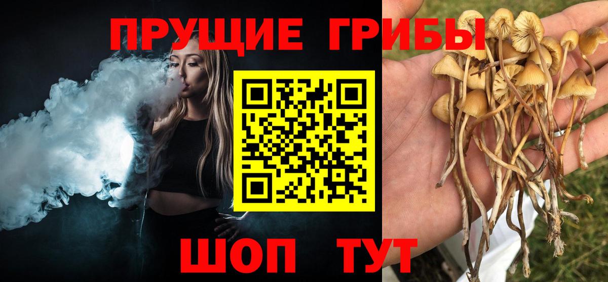 даркнет сайт  Галлюциногенные грибы мухоморы  Вход с VPN  Галлюциногенные грибы Magic Shrooms  Краснокаменск 